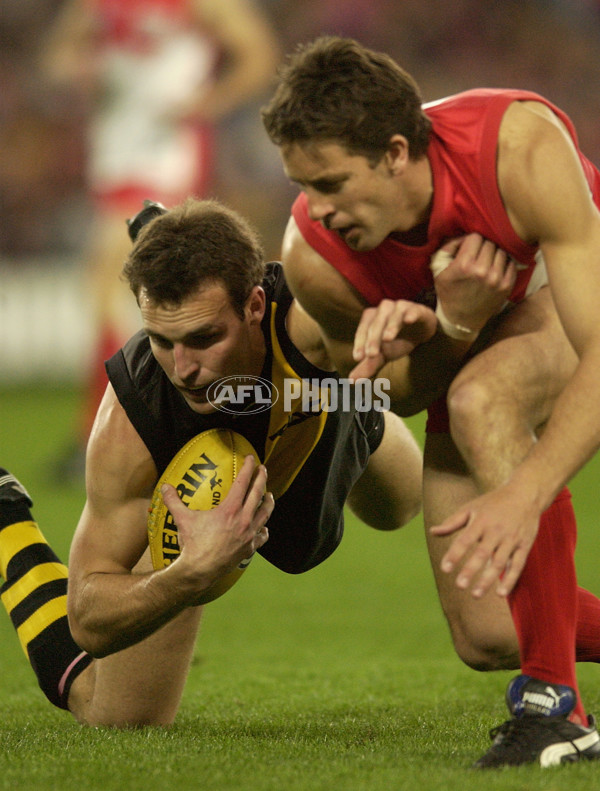 AFL 2002 Rd 22 - Sydney v Richmond - 135049