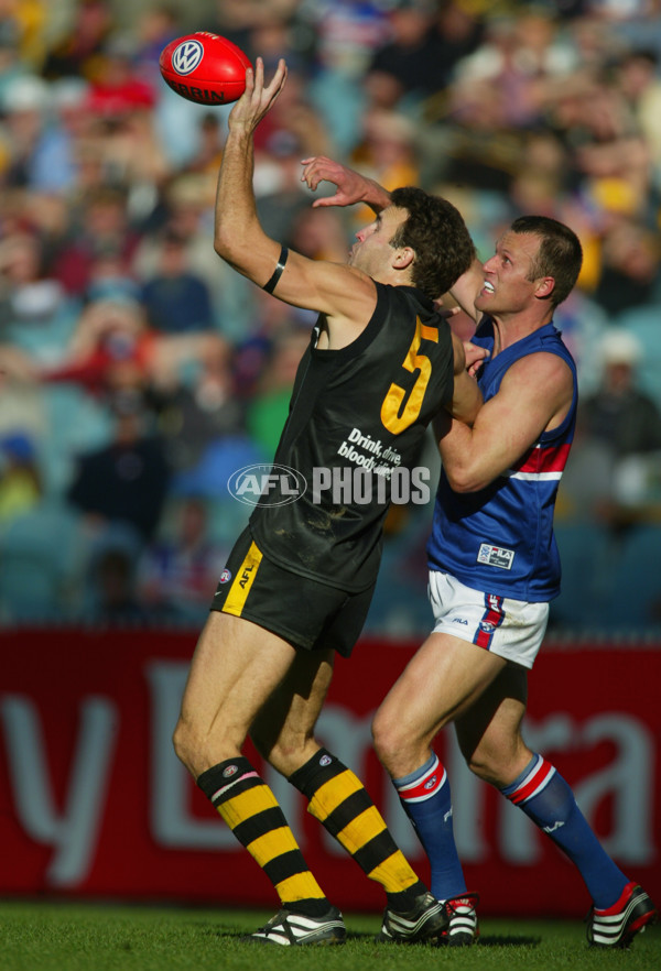 AFL 2002 Rd 10 - Richmond v Western Bulldogs - 135082