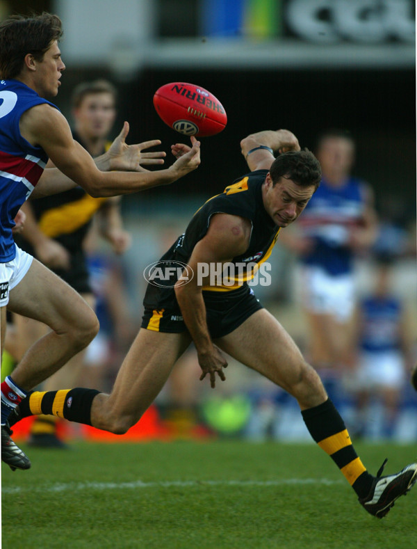 AFL 2002 Rd 10 - Richmond v Western Bulldogs - 135086