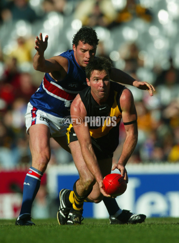 AFL 2002 Rd 10 - Richmond v Western Bulldogs - 135077