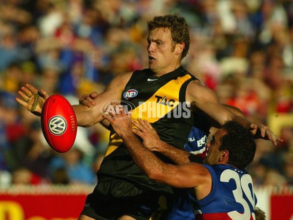 AFL 2002 Rd 10 - Richmond v Western Bulldogs - 135088