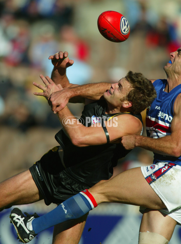 AFL 2002 Rd 10 - Richmond v Western Bulldogs - 135080