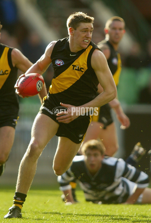 AFL 2002 Rd 13 - Geelong v Richmond - 134995