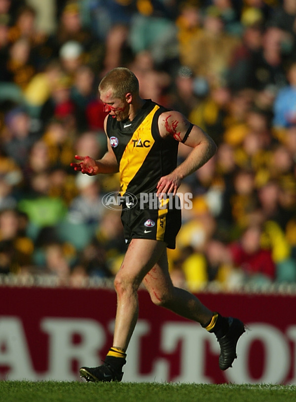 AFL 2002 Rd 10 - Richmond v Western Bulldogs - 135079