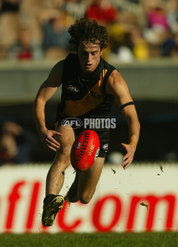 AFL 2002 Rd 10 - Richmond v Western Bulldogs - 135091