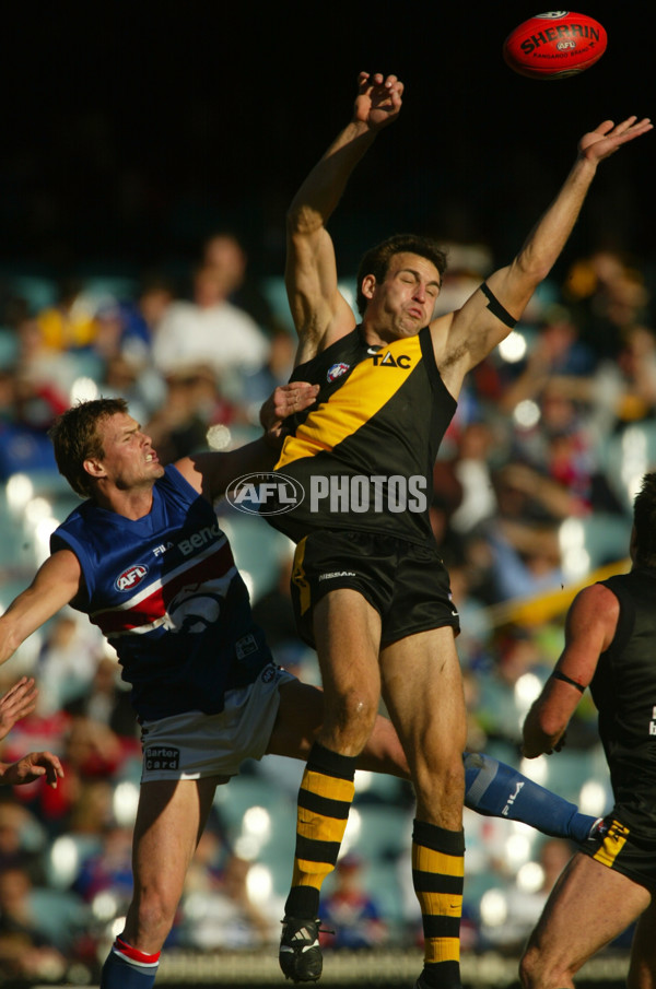 AFL 2002 Rd 10 - Richmond v Western Bulldogs - 135093