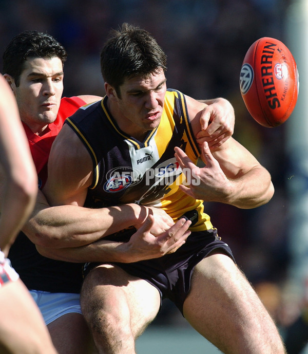 AFL 2002 Rd 19 - West Coast v Melbourne - 135942