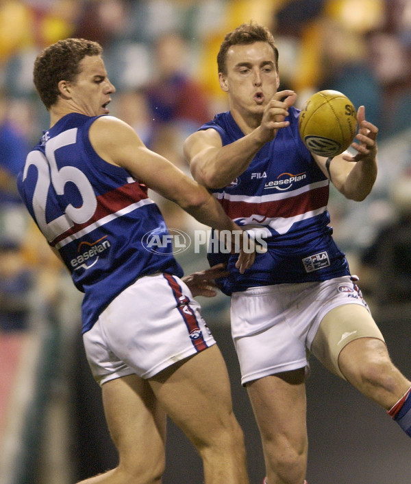 AFL 2002 Rd 19 - Brisbane v Western Bulldogs - 136254