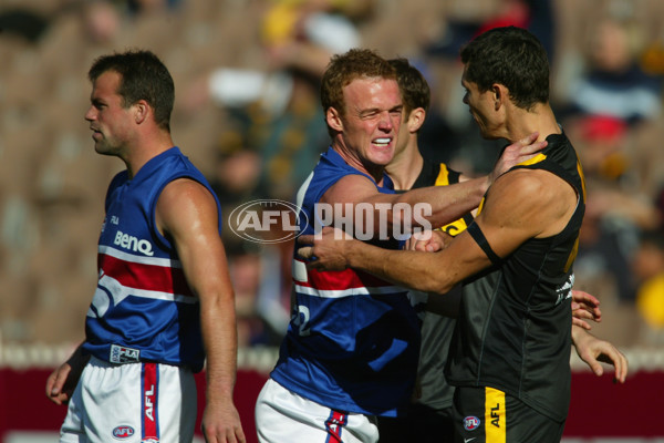 AFL 2002 Rd 10 - Richmond v Western Bulldogs - 136330