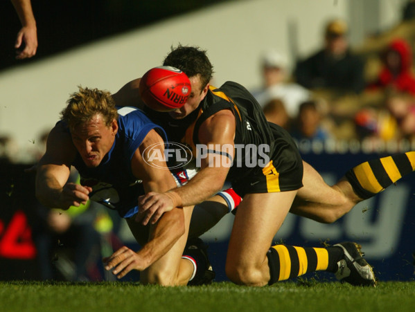 AFL 2002 Rd 10 - Richmond v Western Bulldogs - 136338