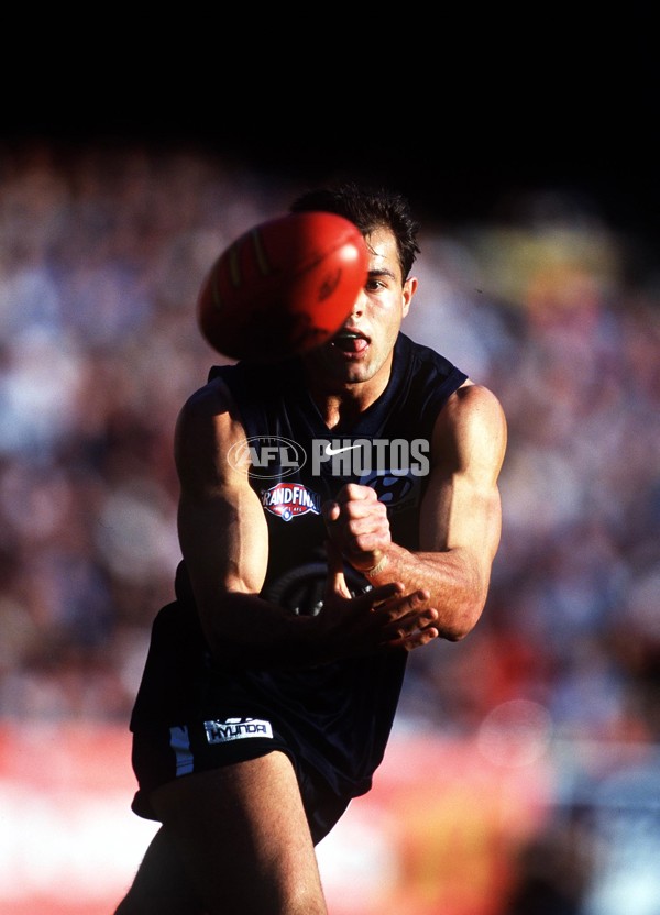 AFL 1999 Grand Final - Kangaroos v Carlton - 137297
