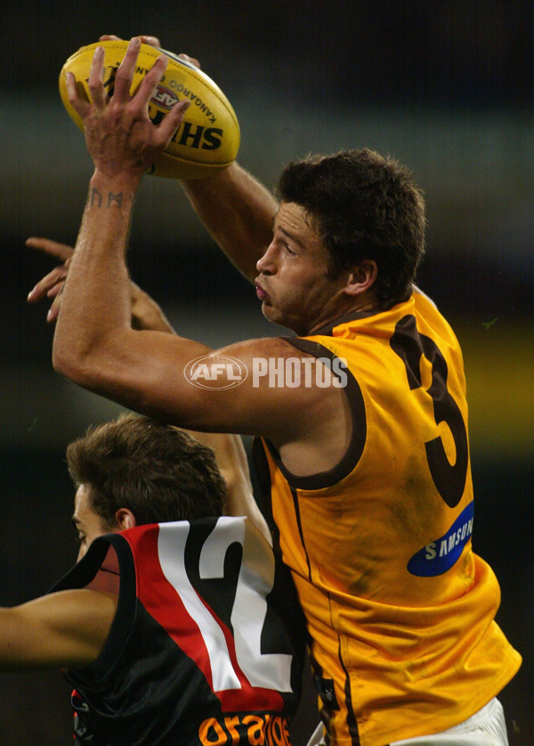 AFL 2002 Rd 12 - Essendon v Hawthorn - 133490