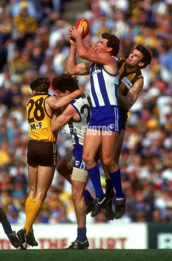 AFL 1994 2nd Qualifying Final - North Melbourne v Hawthorn - 140880