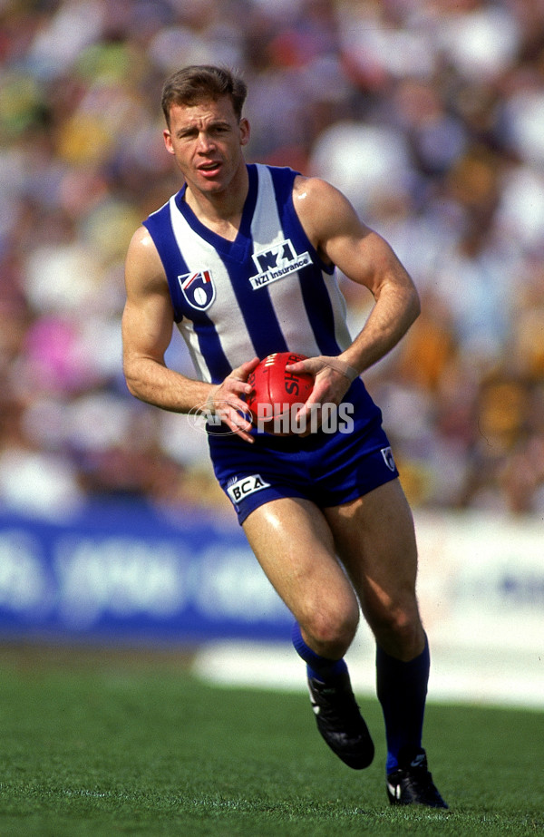 AFL 1994 2nd Qualifying Final - North Melbourne v Hawthorn - 140881