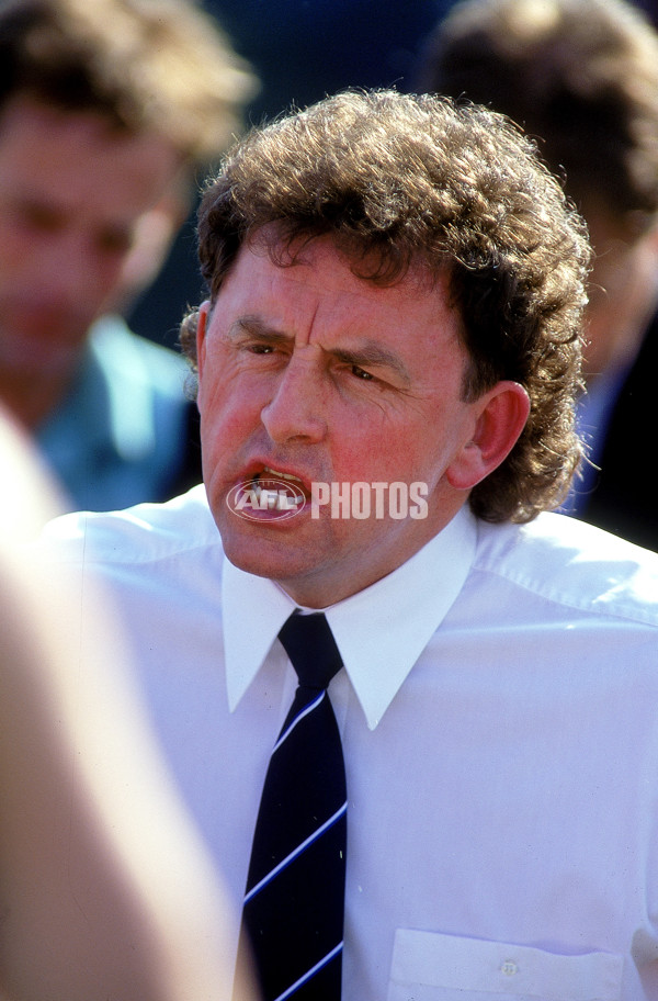 AFL 1994 2nd Qualifying Final - North Melbourne v Hawthorn - 140884