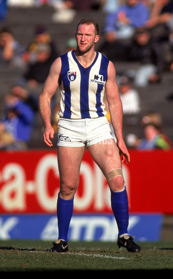 AFL 1994 2nd Qualifying Final - North Melbourne v Hawthorn - 140882