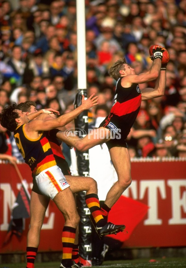AFL 1995 Match - Essendon v Adelaide - A-37468077