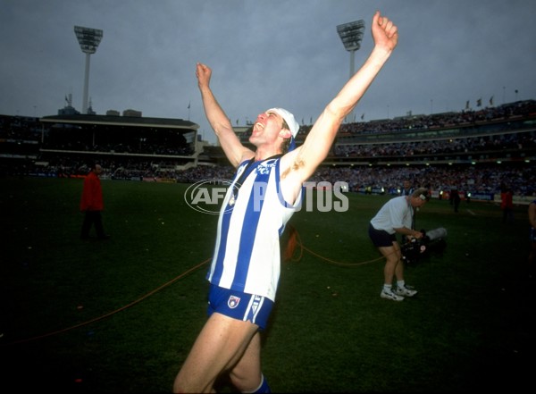 AFL 1996 Grand Final - Sydney v North Melbourne - 141045