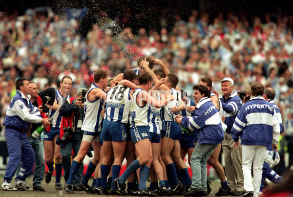 AFL 1996 Grand Final - Sydney v North Melbourne - 141058