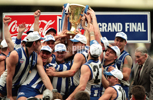 AFL 1996 Grand Final - Sydney v North Melbourne - 141057