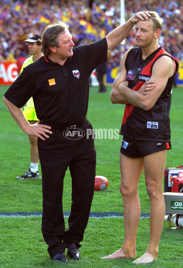 AFL 2001 Grand Final - Essendon v Brisbane - 141849