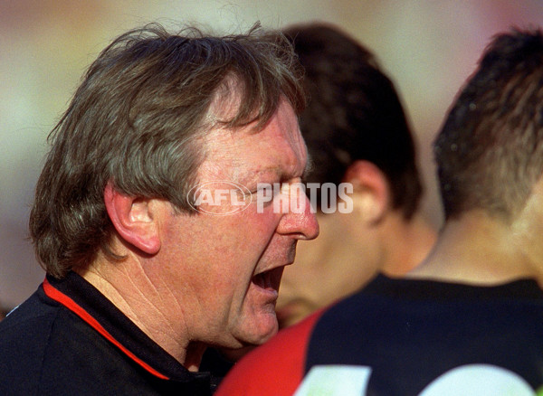 AFL 2001 Grand Final - Essendon v Brisbane - 141867