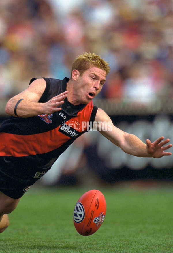AFL 2001 Grand Final - Essendon v Brisbane - 141934