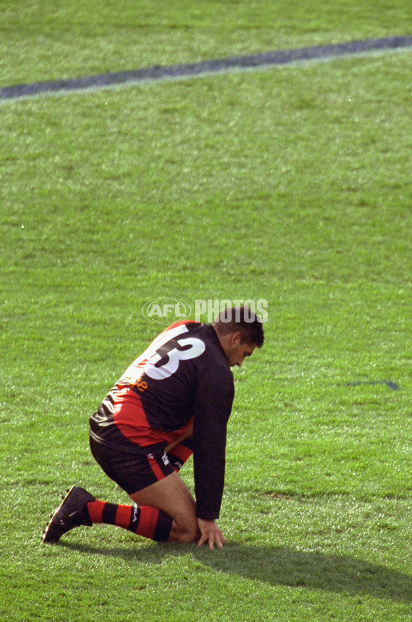 AFL 2001 Grand Final - Essendon v Brisbane - 141942