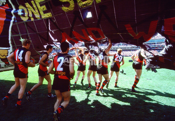 AFL 2001 Grand Final - Essendon v Brisbane - 141999