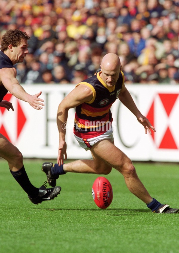 AFL 2001 1st Elimination Final - Carlton v Adelaide - 142088