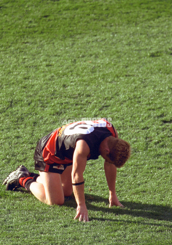 AFL 2001 Grand Final - Essendon v Brisbane - 142023