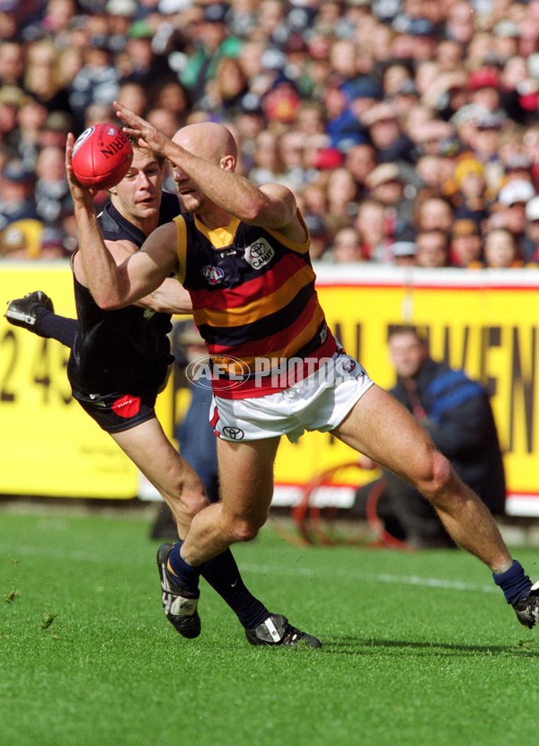 AFL 2001 1st Elimination Final - Carlton v Adelaide - 142092