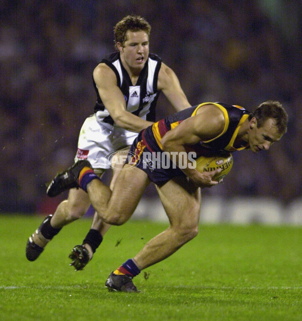 AFL 2001 Rd 13 - Adelaide v Collingwood - 142277