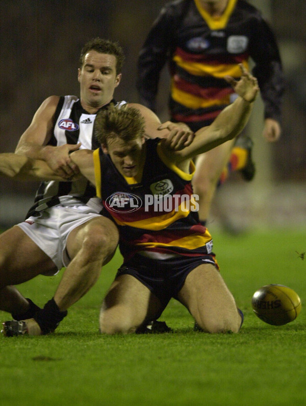 AFL 2001 Rd 13 - Adelaide v Collingwood - 142271