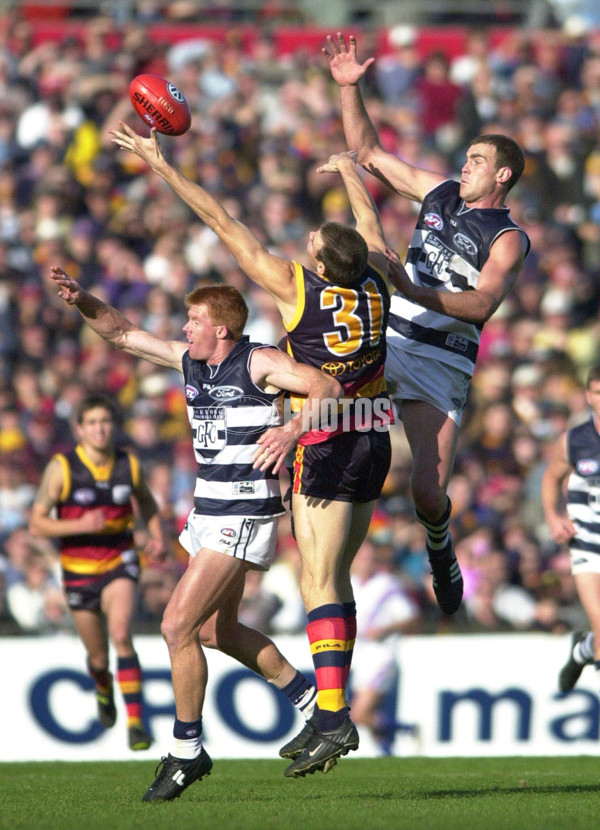 AFL 2001 Rd 10 - Adelaide v Geelong - 142320