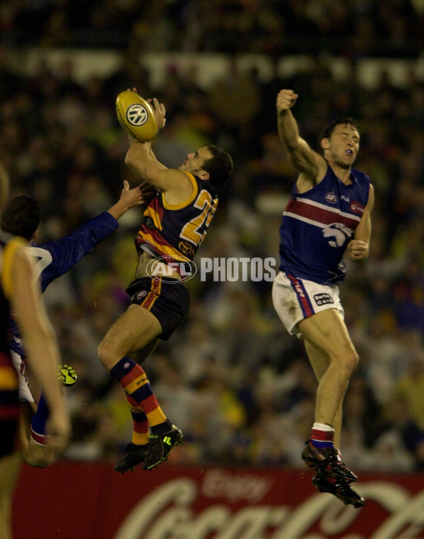 AFL 2001 Rd 11 - Adelaide v Western Bulldogs - 142332