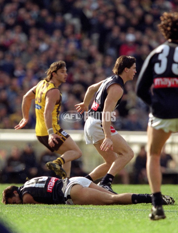 AFL 2001 Rd 17 - Hawthorn v Carlton - 142959