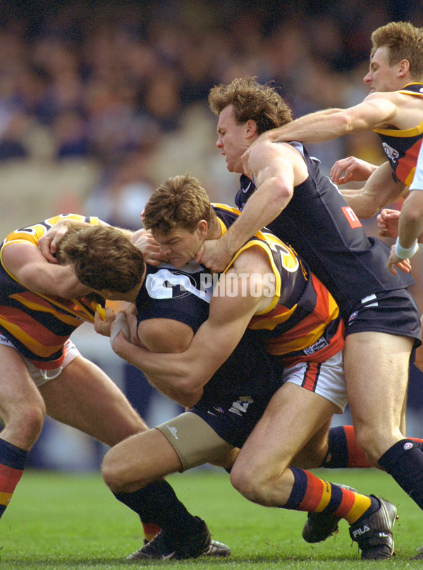 AFL 2001 1st Elimination Final - Carlton v Adelaide - 143004