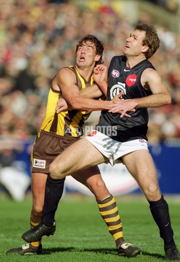 AFL 2001 Rd 17 - Hawthorn v Carlton - 143050