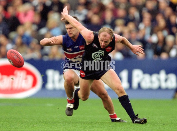 AFL 2001 Rd 13 - Carlton v Western Bulldogs - 143526