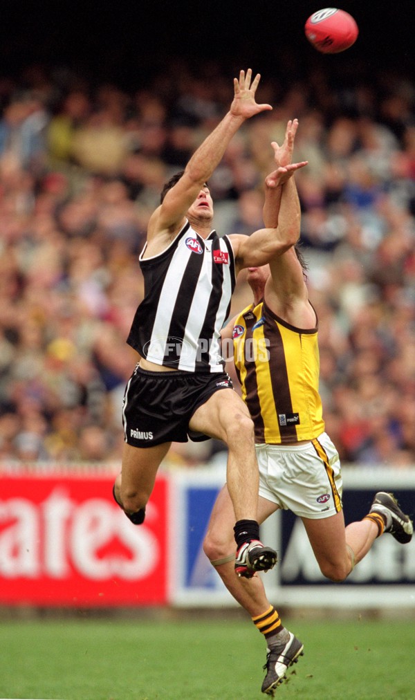 AFL 2001 Rd 16 - Collingwood v Hawthorn - 143690