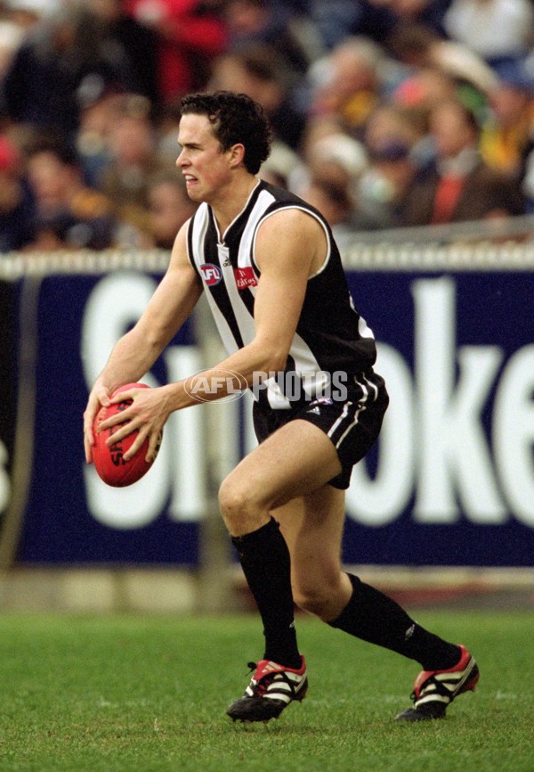 AFL 2001 Rd 16 - Collingwood v Hawthorn - 143643