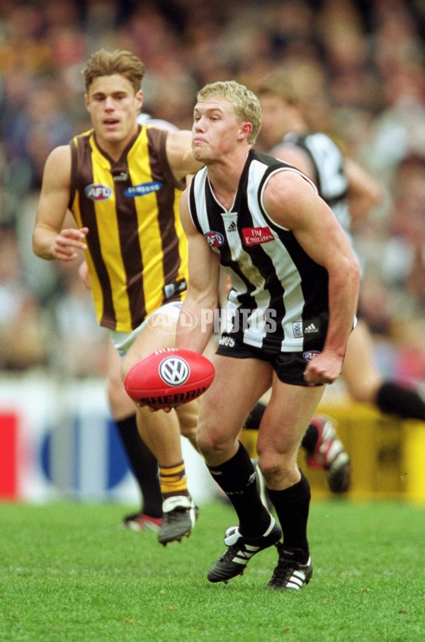AFL 2001 Rd 16 - Collingwood v Hawthorn - 143740