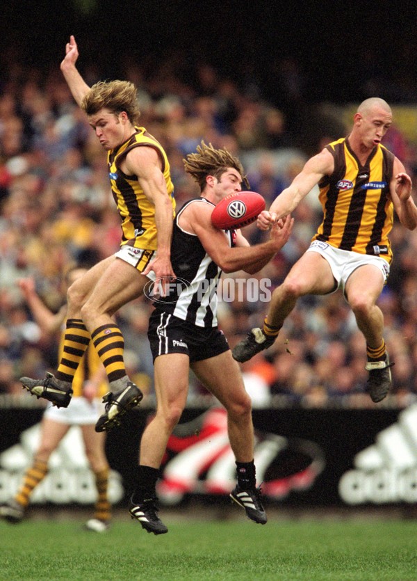 AFL 2001 Rd 16 - Collingwood v Hawthorn - 144986