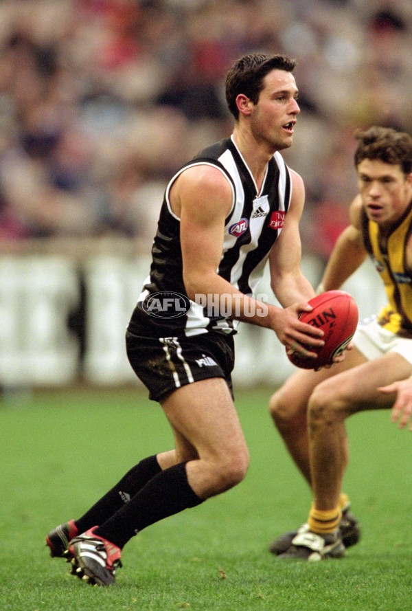 AFL 2001 Rd 16 - Collingwood v Hawthorn - 143726