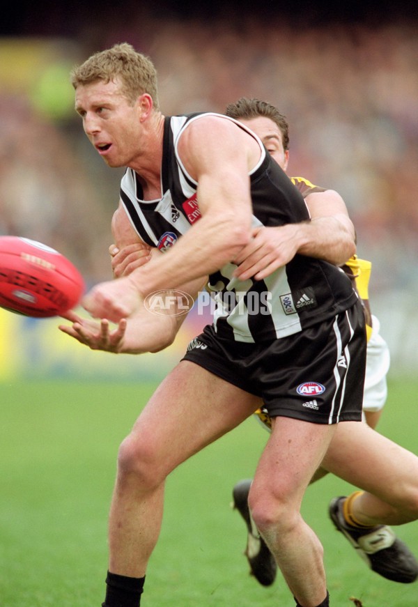 AFL 2001 Rd 16 - Collingwood v Hawthorn - 143752