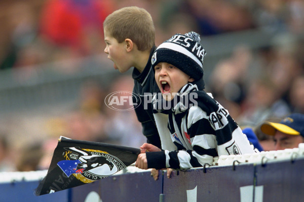 AFL 2001 Rd 16 - Collingwood v Hawthorn - 145176