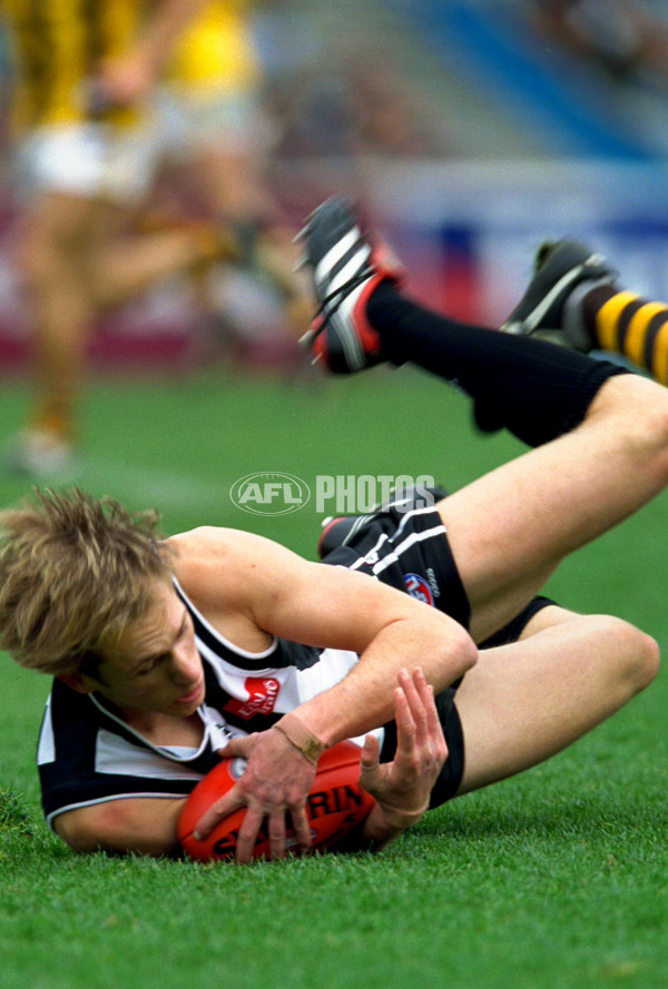 AFL 2001 Rd 16 - Collingwood v Hawthorn - 145178