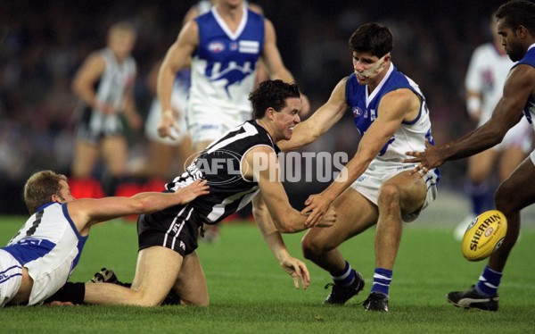 AFL 2001 Rd 7 - Collingwood v Kangaroos - 143919