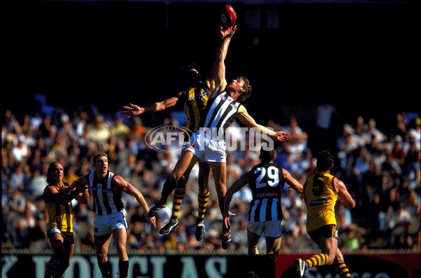 AFL 2001 Rd 1 - Collingwood v Hawthorn - 145092